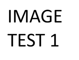 Test Image 1